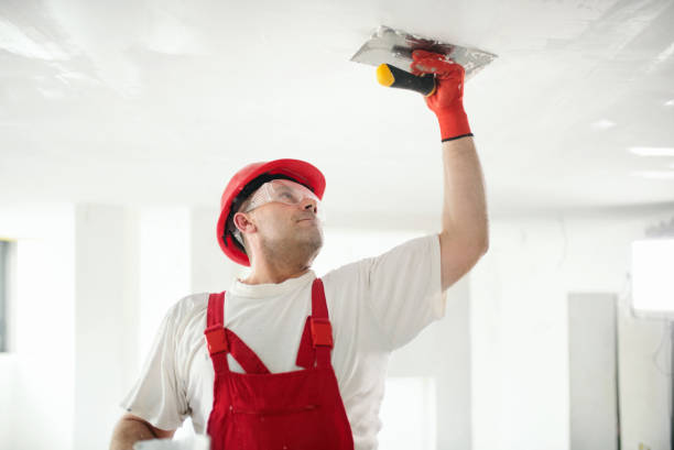 Best Ceiling Drywall Installation  in Rugby, ND